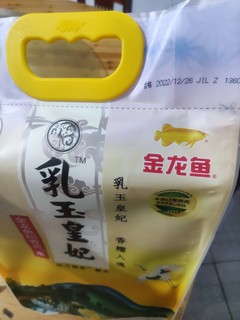 乳玉皇妃大米