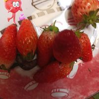吃货爱草莓