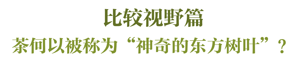 阳春三月采茶时，走近浮沉千年的中国茶｜风物书单首期正式上线！