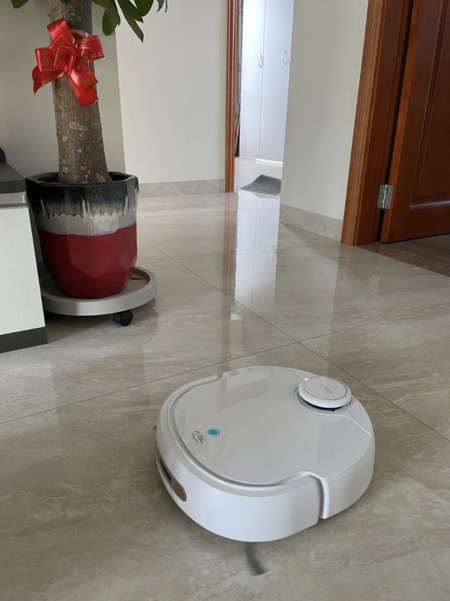 这家伙容易大脑过载？？🤦‍♀️