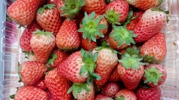 酸甜可口的草莓，色泽鲜亮，作为饭后水果好吃极了