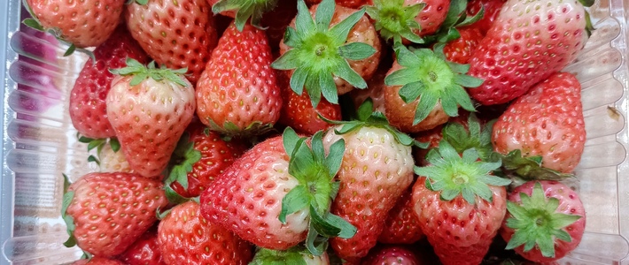 酸甜可口的草莓，色泽鲜亮，作为饭后水果好吃极了