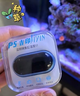 高颜值蓝眼睛，高精度水族温度计