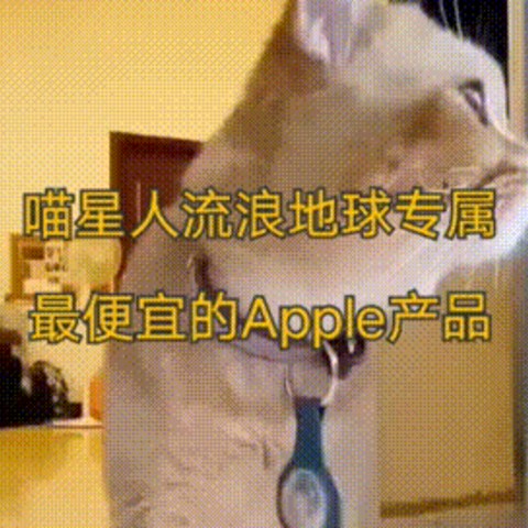 带着猫猫去流浪/定位/Apple苹果 AirTag 防丢器找物单个四个装智能查找追踪器无线防盗Apple 苹果 原装Ai