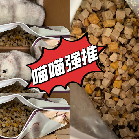 我为什么让喵主子最后选择了这款猫粮，就简单几个方面！