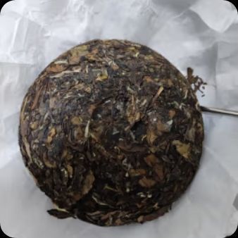 春日宝藏品挖掘 寿眉。