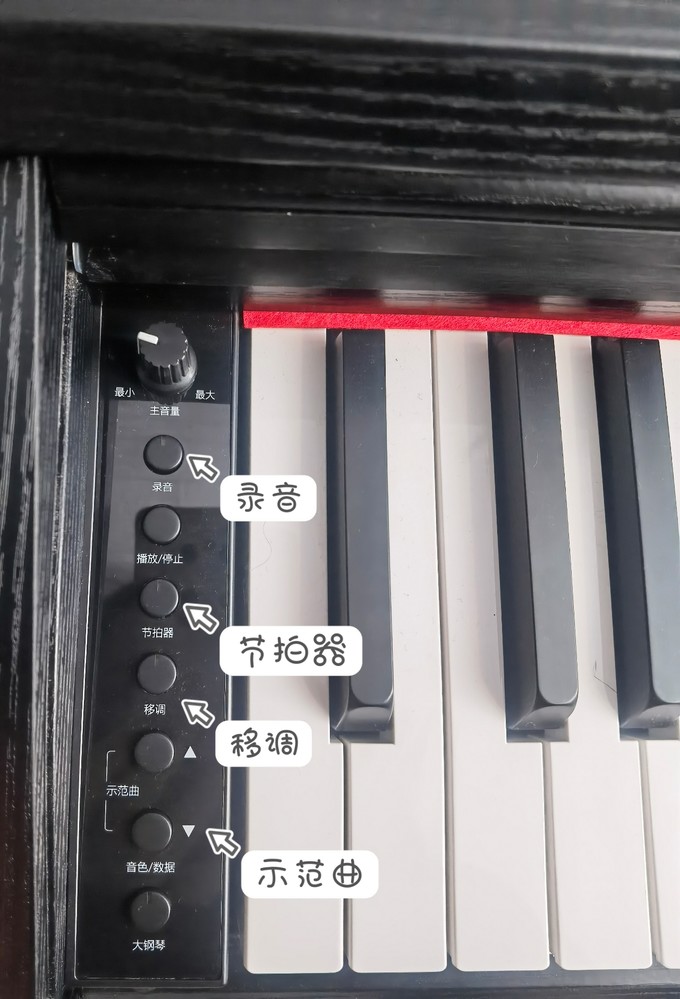 珠江钢琴电子琴