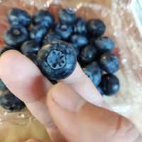 云南大蓝莓