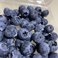 价格实惠品质新鲜的蓝莓
