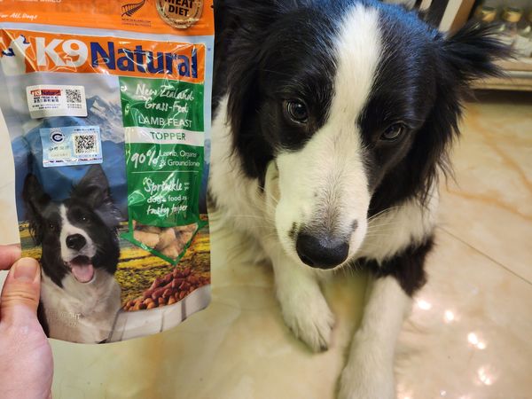 不到40元的K9冻干，必须买起来