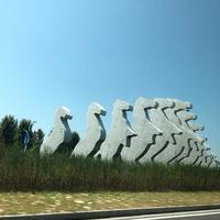 淮安市白马湖游玩记录