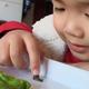 适合新手孩子在家养的虫虫，可以选择凤蝶幼虫，也可选择蜗牛
