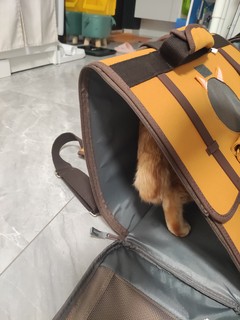 你买猫包了吗