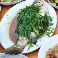 美食 篇一百：家庭快手菜分享-清蒸鲈鱼