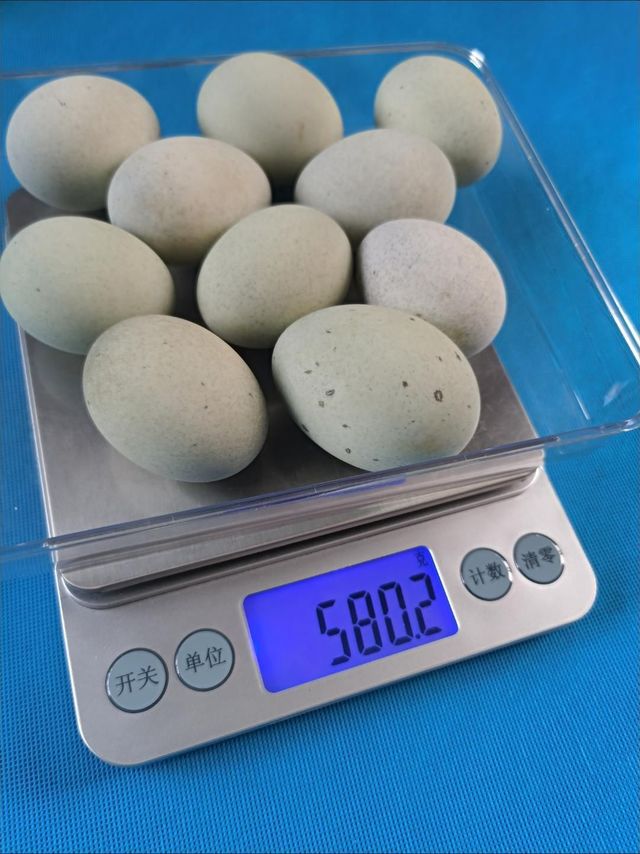 白荡里60-70g正宗无铅工艺松花蛋溏心砂心皮