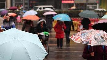 春雨绵绵，伞是每天出行的亲密拍档