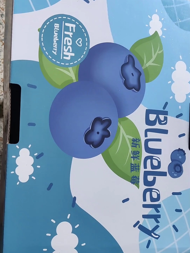 89元12盒蓝莓开箱