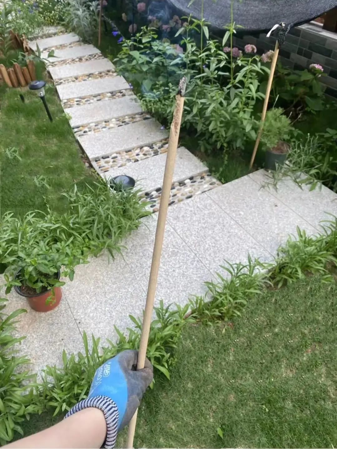 看完水哥王昱珩的家我更想买一楼了灌溉系统亚马逊海底世界都被他整