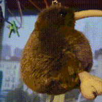 喵氏物语 篇十七：澳大利亚国鸟/喵星人的新玩具/kiwi几维鸟毛绒玩具  新西兰几维鸟钥匙扣 奇异鸟挂件 新西兰纪念