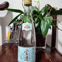 春日宝藏美酒，最新版的宝莲到货