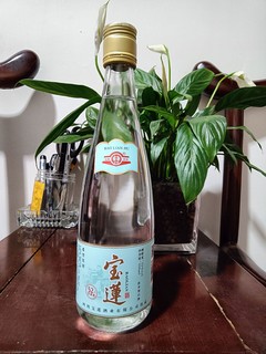 春日宝藏美酒，最新版的宝莲到货