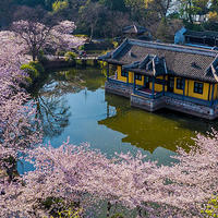 又见无锡花花世界，两天一晚的无锡之旅