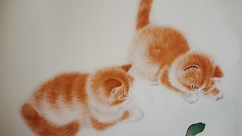 家里面墙面挂饰很重要哦，我家墙上都是柿子和小猫咪