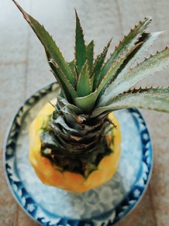 春日宝藏水果~神湾菠萝🍍🍍