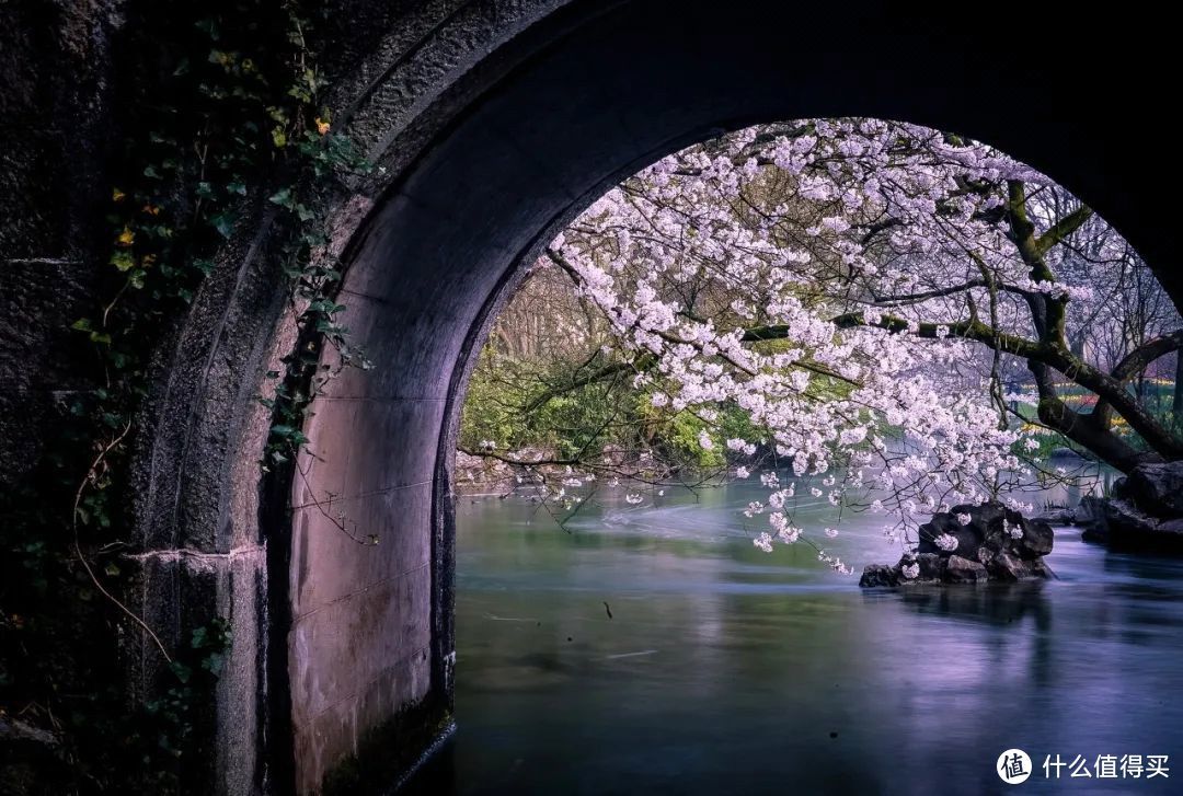 春天应该怎么度过？一文包含美食/护肤/春景，给你带来最肆意的春日生活指南！