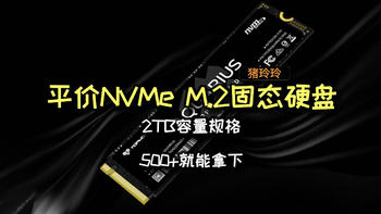 平价NVMe M.2固态硬盘推荐，2TB容量规格，500+就能拿下