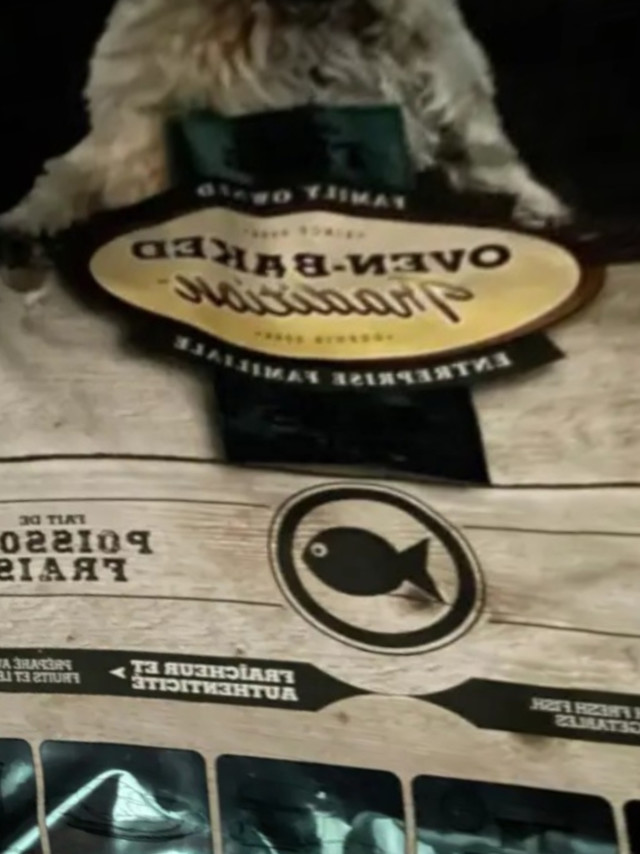 养宠家庭必备好物。欧恩焙加拿大原装进口狗