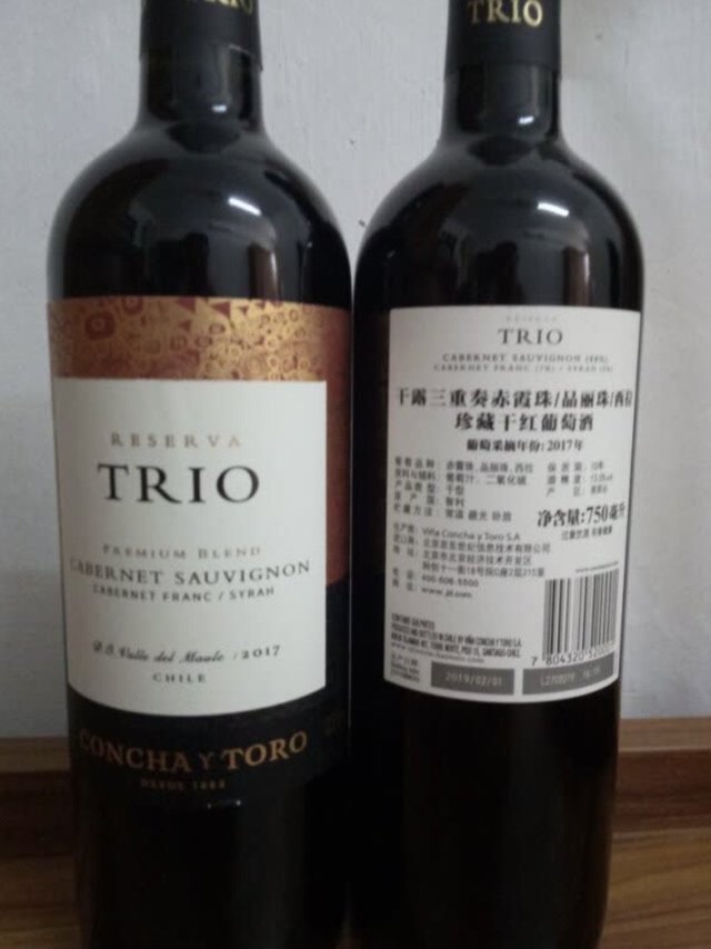 让我们春季夜晚微醺一杯吧！