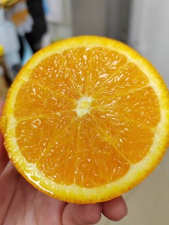 伦晚橙好好吃