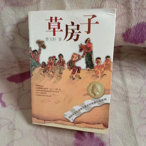 好书分享，超适合亲子阅读的儿童文学作品《草房子》