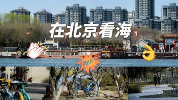 我的摄影装备 篇八：背着徕卡带着老“头”去看海——北京终于有海啦！