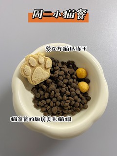 猫猫一周食谱｜干湿搭配营养到位！