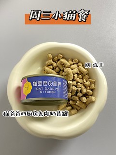 猫猫一周食谱｜干湿搭配营养到位！