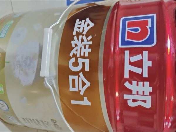 立邦乳胶漆金装净味五合一