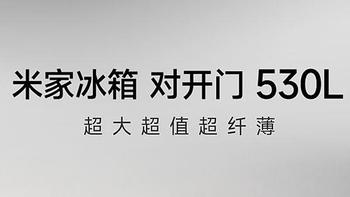 小米的科技力量，让您的冰箱更智能便捷——小米米家冰箱对开门530升