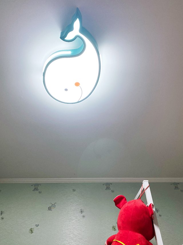 儿童房卡通吸顶灯