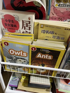 杂志、报刊最强收纳架。