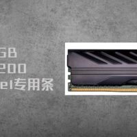 NAS折腾笔记 篇十八：拼凑NAS计划 价格低指标也低 金百达8GB DDR4 3200 黑爵系列 intel专用条
