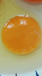 炖鸡蛋