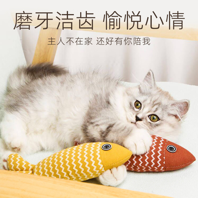 可爱的人养可爱的猫，可可爱爱！