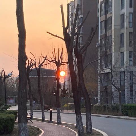 春日出游计划~一定要准备体力必须的美食~