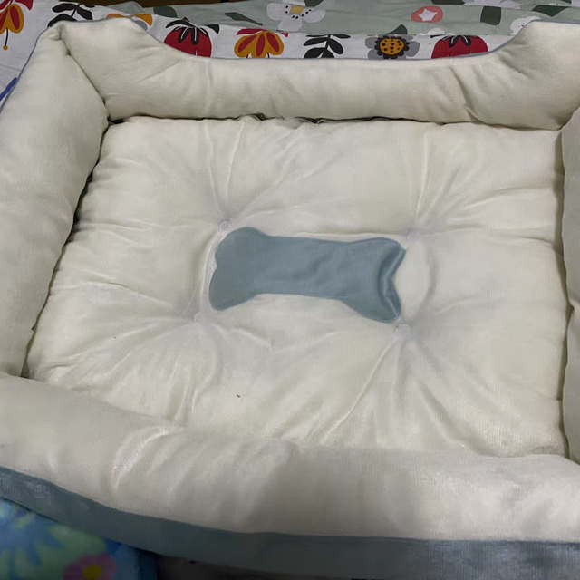 家里有狗的可以看一看