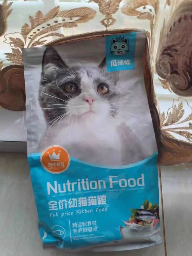 性价比不错的猫粮
