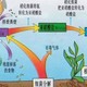  关于养鱼过滤篇-花最少的钱做最好的过滤　