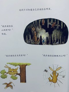 学前绘本推荐我不知道我是谁