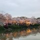 春日出游计划-一起去赏樱在樱花树下小憩